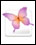 specifications Indesign